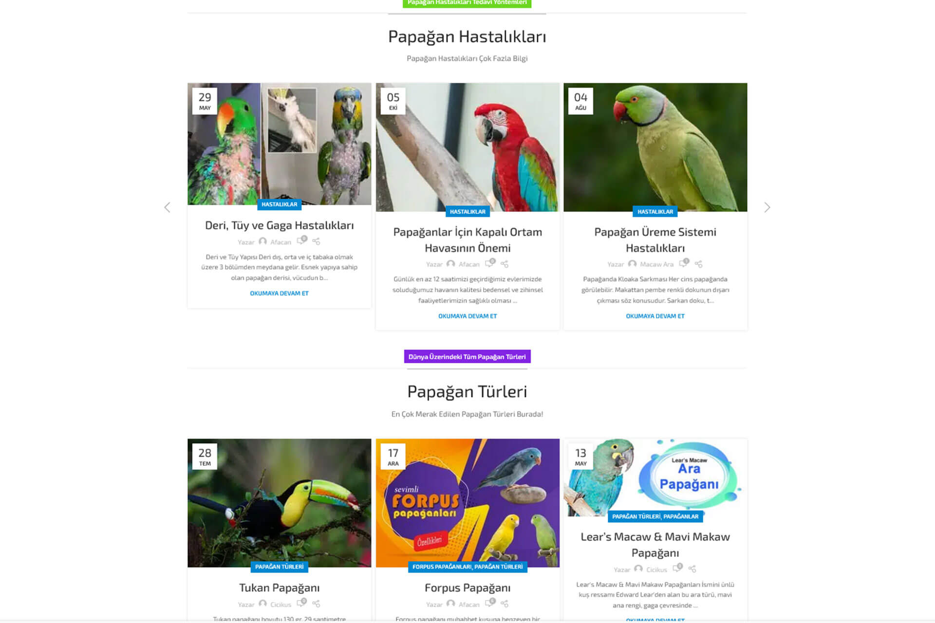 Papağanlar Bilgi Platformu