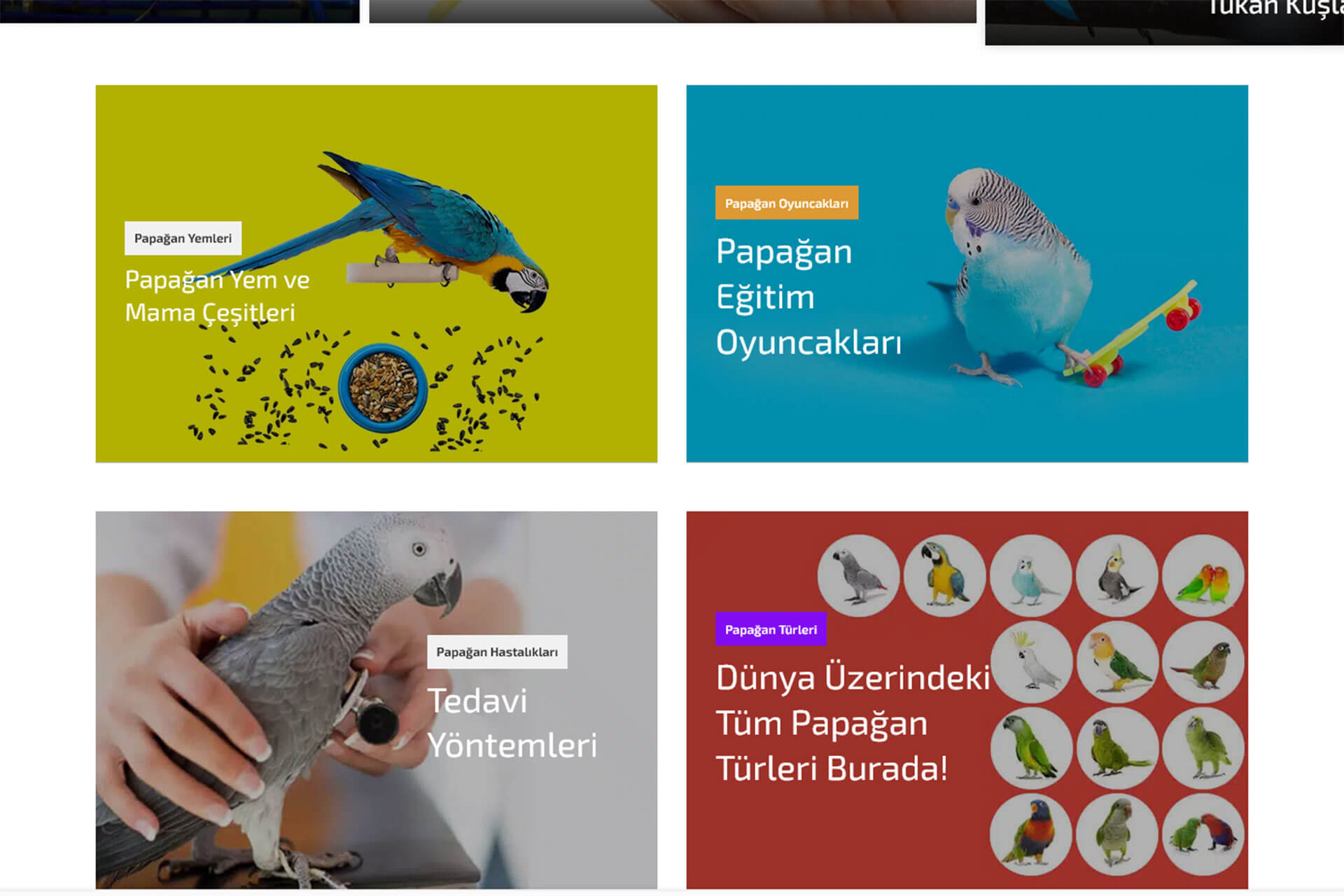 Papağanlar Bilgi Platformu
